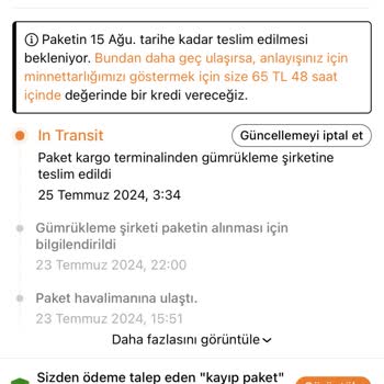 Temu Siparişim Gümrükte Kaldı