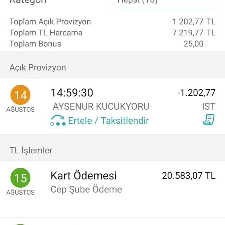 Garanti Bankası Kredi Kartı Ödemesi Sorunu