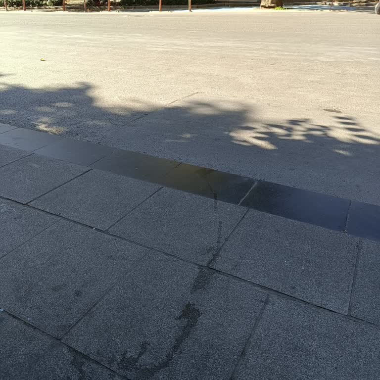 İBB - İstanbul Büyükşehir Belediyesi 19Y Otobüs Şikayet