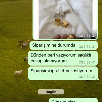 Okrosess İlgisizliği Mağduriyet