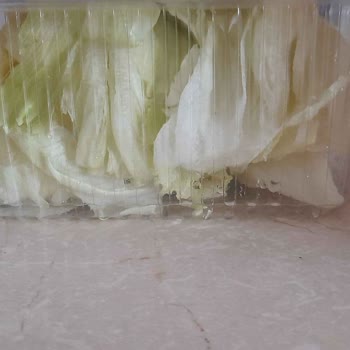 Komagene Nar Ekşisi Ve Acı Sos Koyulmaması