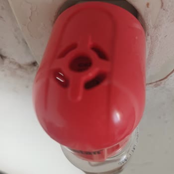 Detan Sinek Savar Likit