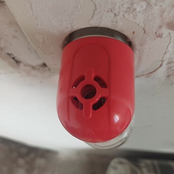 Detan Sinek Savar Likit