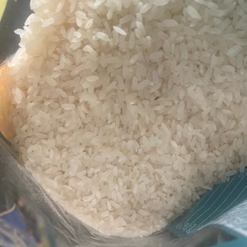 A101 Ovacık Pirinç Böcekli