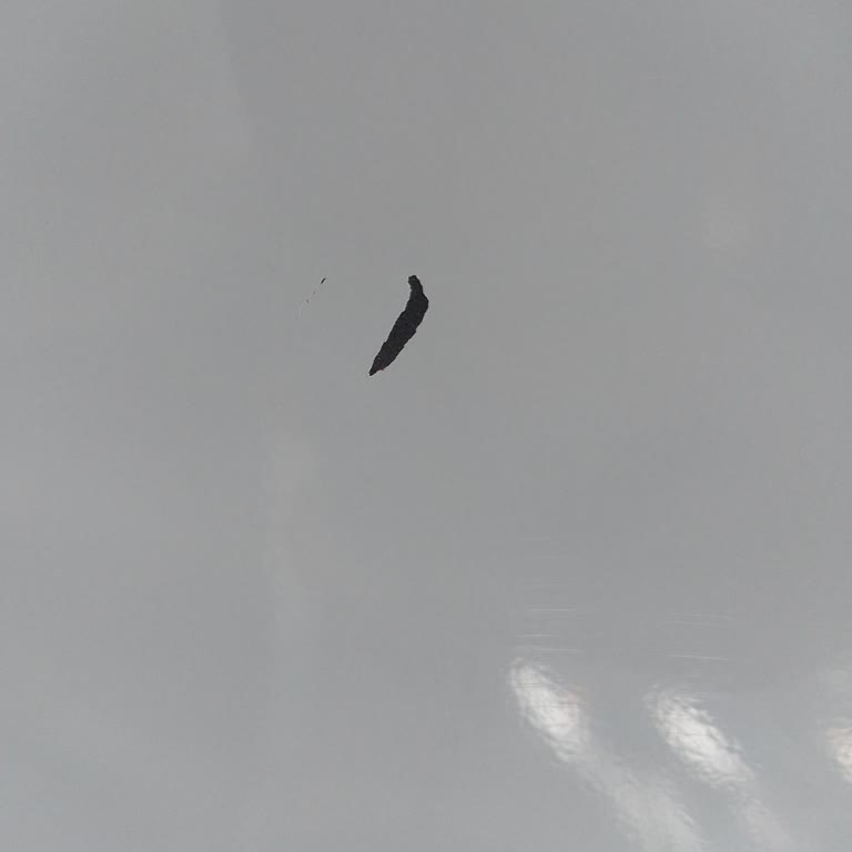 Vestel Servisinin Sorumsuzluğu Ve Dönüş Yapmaması