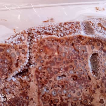 Çanakkale Asos A101'den Aldığımız Çikolata Küflü Çıktı