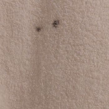 Club Hotel Anjeliq Hayal Kırıklığı: Uzun Bekleyişler Ve Hijyen Sorunları!