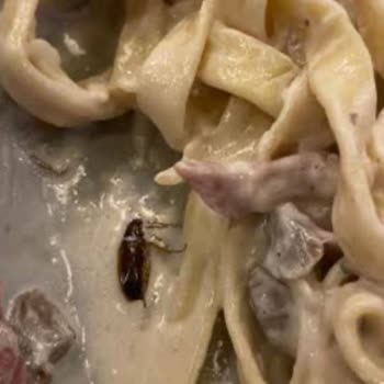 Happy Moons İstanbul Marina