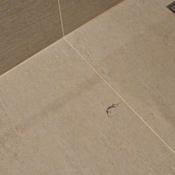 Mersin Hilton Sa Mağduru!