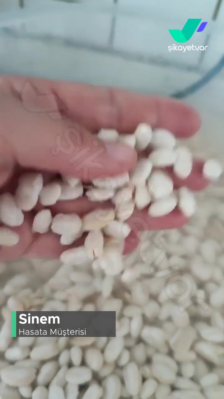 Hasata Kuru Fasulye Ürün Çok Kötü! videonun kapak resmi