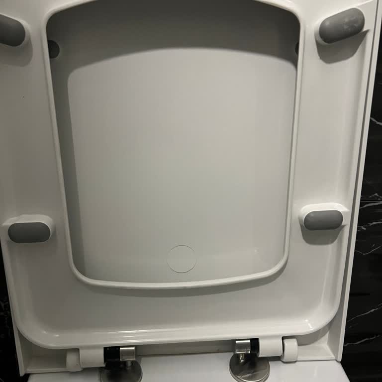 Bien Seramik Bien Klozet Kapağı Çıkıyor