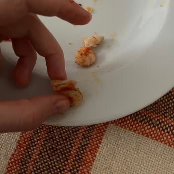 Dardanel Karideste Sindirim Kanalı Temizlenmemiş.