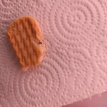 Hipp Ürün İçinden Çıkanlar