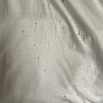 Airbnb Konaklama Deneyimimde Yaşadığım Sorunlar Ve Memnuniyetsizlik