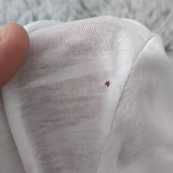 Airbnb Konaklama Deneyimimde Yaşadığım Sorunlar Ve Memnuniyetsizlik