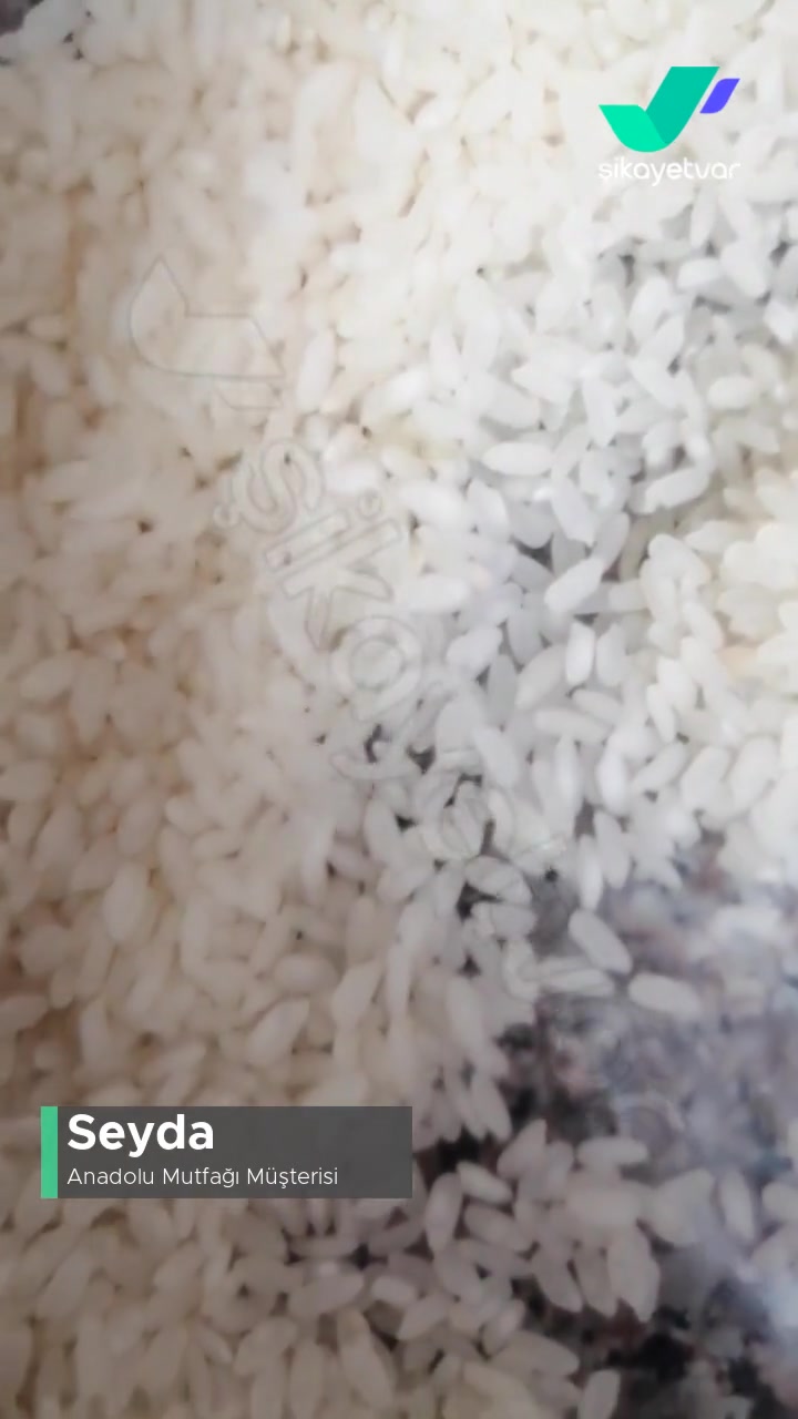 Anadolu Mutfağı Osmancık Pirinç İçinde Kurtçuklar Var! videonun kapak resmi