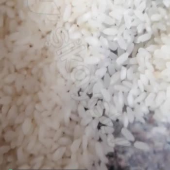 Anadolu Mutfağı Osmancık Pirinç İçinde Kurtçuklar Var!