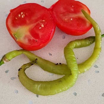 Arçelik Buzdolabı Sorunu ve Servis Problemleri