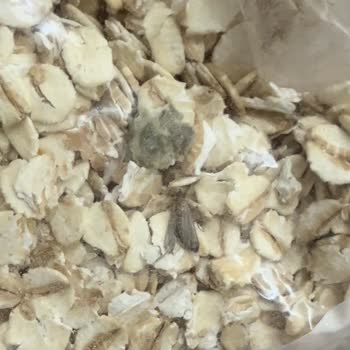 Mlife Bio Migros Marketteki Organik Ürün Paketinden Böcek Çıktı