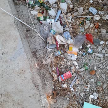 Didim Belediyesi Çöp Sorunu Hakkında