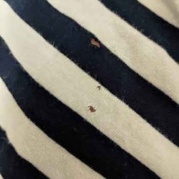 Arçelik Çamaşır Makinesi Kıyafetlerimi Yırtıyor ve Değişim Yapılmıyor