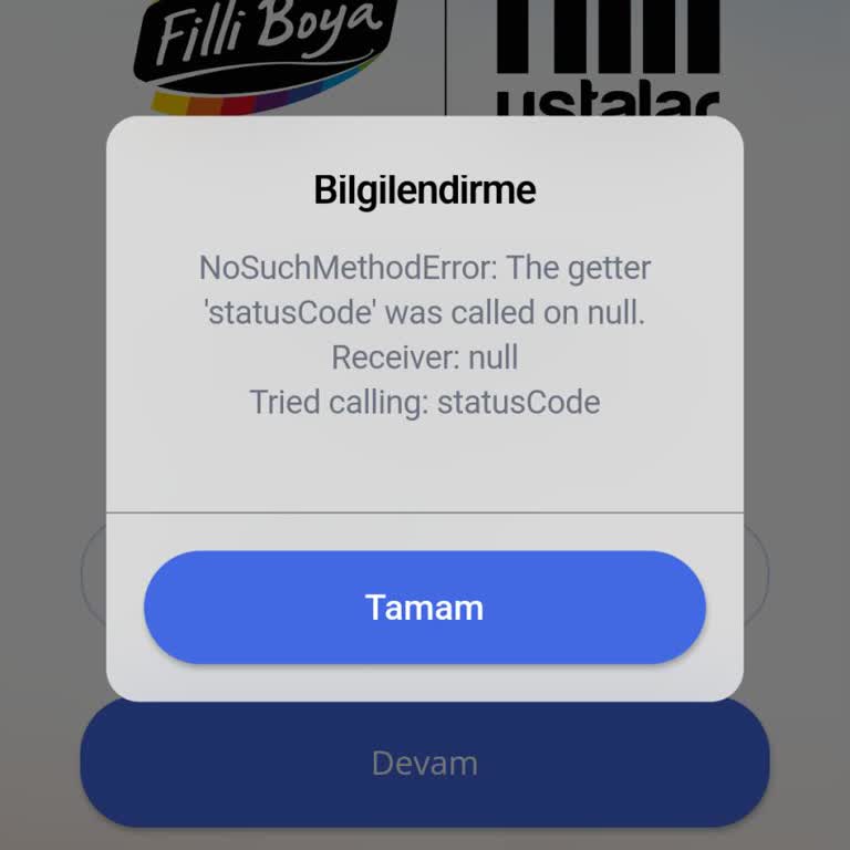Filli Ustalar Giriş Hatası Oluyor Giriş Yapamıyorum