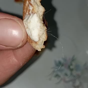 Ülker Bisküviden Çıkan Kıl