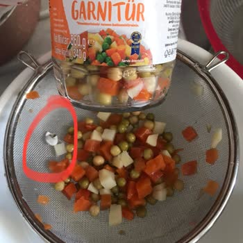 A101 Çokça Garnitürden Salyangoz Çıktı
