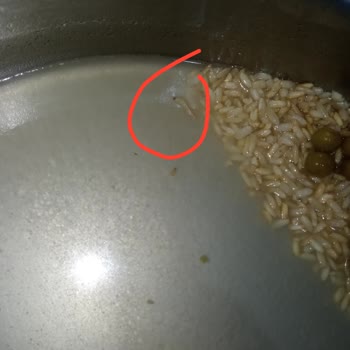 Yayla Bakliyat Yayla Markasının Kepekli Pirincin Paketinden Canlı Kurtlar Cıktı