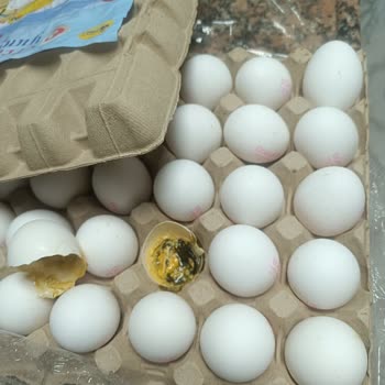 A101 Yumurta Kolisi Tamamen Kurtlanmış Ve Kokuyordu