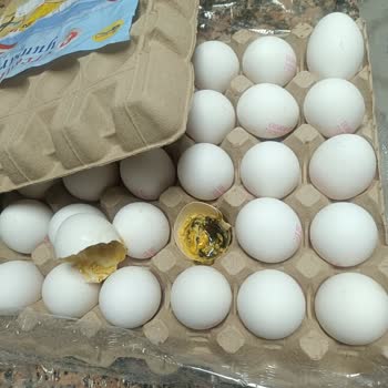 A101 Yumurta Kolisi Tamamen Kurtlanmış Ve Kokuyordu