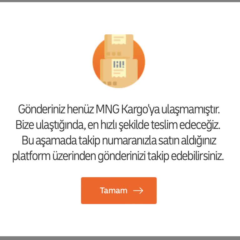 MNG Kargo MNG Temu Kargomu Gümrükten Teslim Almıyor