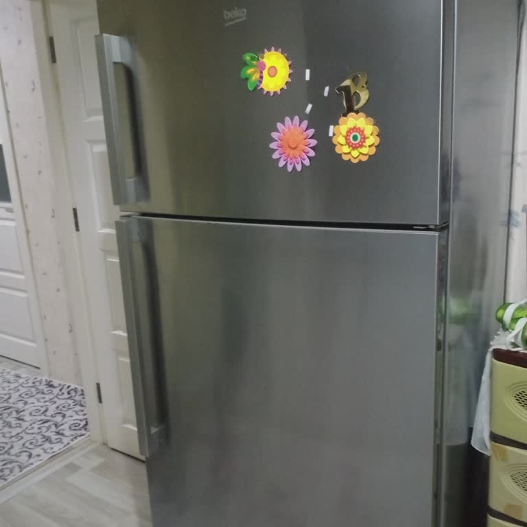 Beko Markadan Buzdolabından Şikayetçiyim