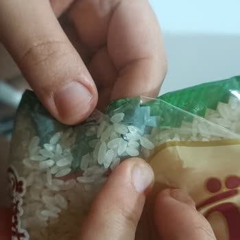 Öğüt Bakliyat Öğüt Pirinç Böcek