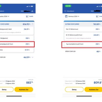 Yanlış Yurt Dışı Kullanım Ücreti ve Müşteri Hizmetleri Sorunu