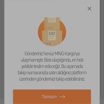 MNG Kargo Temu Ve MNG 20 Gündür Siparişimi Gümrükte Bekletiyor