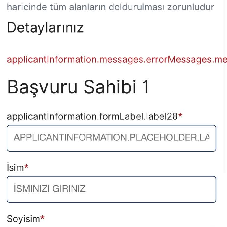 VFS Global Vize Başvuru Sürecinde Yaşanan Sorunlar