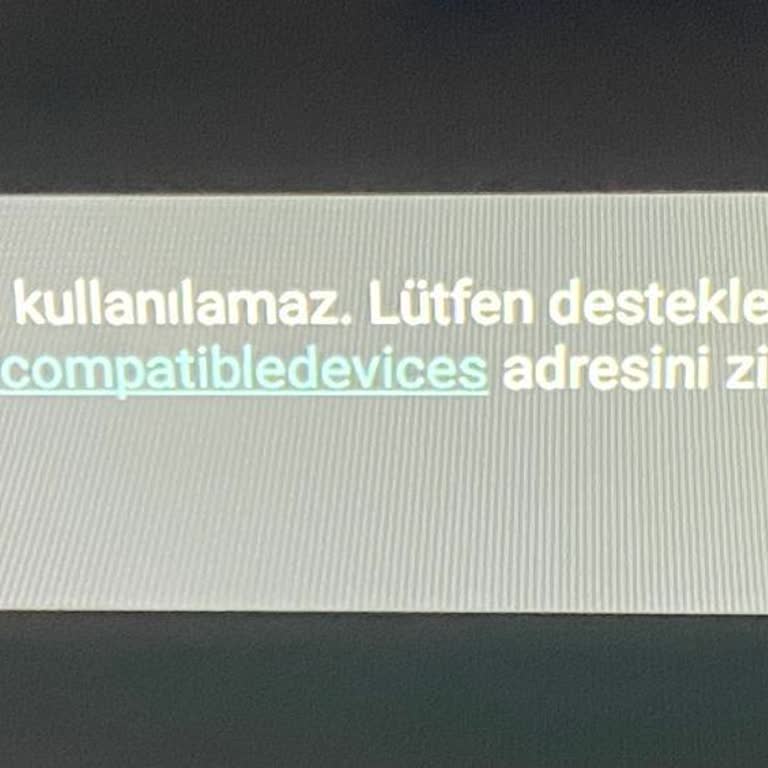 Skytech TV Güncelleme Sonrası Netflix Sorunu