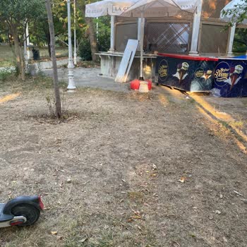 Kadıköy Belediyesi Fener Kalamış Cad Ve Fenerbahçe Parkının Bakımsızlığı