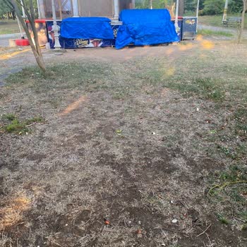 Kadıköy Belediyesi Fener Kalamış Cad Ve Fenerbahçe Parkının Bakımsızlığı