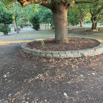 Kadıköy Belediyesi Fener Kalamış Cad Ve Fenerbahçe Parkının Bakımsızlığı