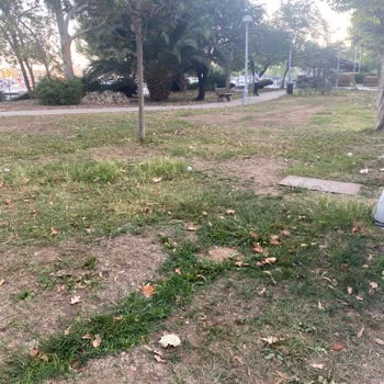 Kadıköy Belediyesi Fener Kalamış Cad Ve Fenerbahçe Parkının Bakımsızlığı