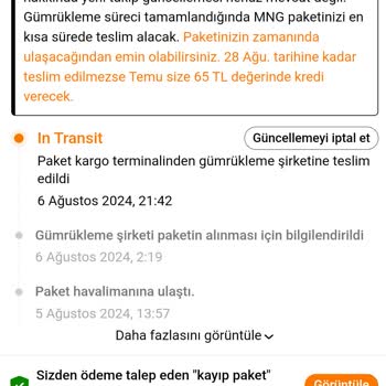 İstanbul Gümrük Müdürlüğü İstanbul Gümrük İşleri #temu #mağduriyet