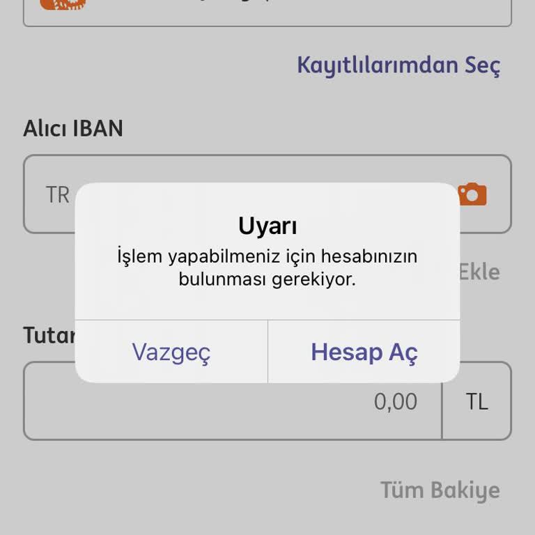 ING Bankası EFT Sorunu Acil Çözüm