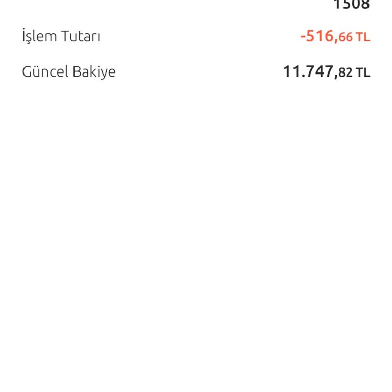 Ender Mağazaları Online Ödeme Yaptım Borç Hala Var Gözüküyor