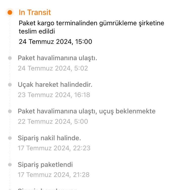 Temu Siparişimin 1 Aydır Gümrükte Bekletilmesi.