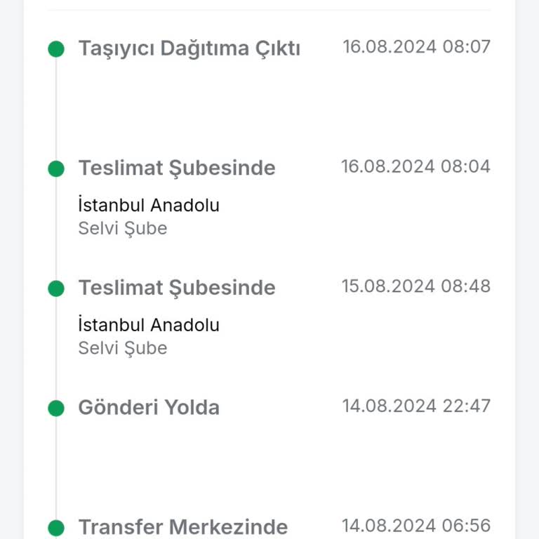 Trendyol Express Kargo Şehir İçi Teslimat Hızı