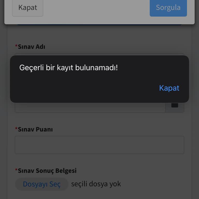 Yükseköğretim Kurulu (YÖK) ALES Puanı Gözükmüyor Yüksek Lisans Başvurusu