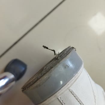 Lumberjack Ayakkabım Parçalandı Bile