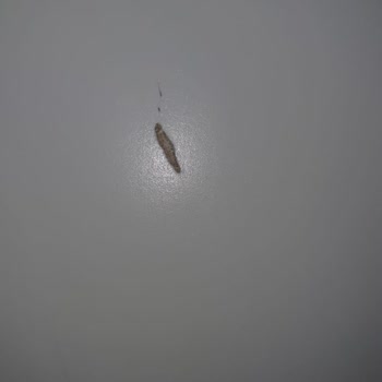 Шкаф IKEA Boaxel: Проблемы с полками и установкой